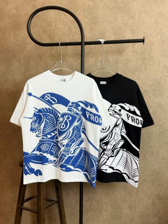 Picture of Burberry T Shirts Short _SKUBurberryS-XLxetr18819429